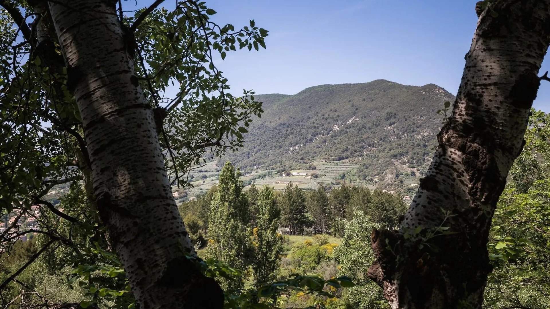 Bulles D'Olive Olea - Piscine & Jacuzzi Avec Vue Hotel Nyons Guest house